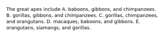 The great apes include A. baboons, gibbons, and chimpanzees. B. gorillas, gibbons, and chimpanzees. C. gorillas, chimpanzees, and orangutans. D. macaques, baboons, and gibbons. E. orangutans, siamangs, and gorillas.