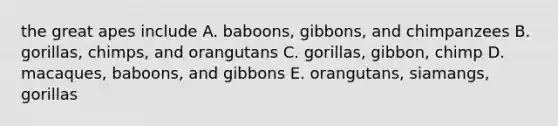 the great apes include A. baboons, gibbons, and chimpanzees B. gorillas, chimps, and orangutans C. gorillas, gibbon, chimp D. macaques, baboons, and gibbons E. orangutans, siamangs, gorillas