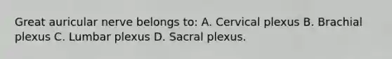 Great auricular nerve belongs to: A. Cervical plexus B. Brachial plexus C. Lumbar plexus D. Sacral plexus.