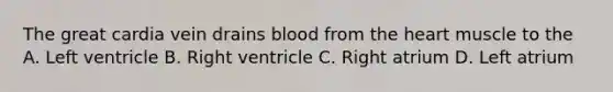 The great cardia vein drains blood from the heart muscle to the A. Left ventricle B. Right ventricle C. Right atrium D. Left atrium