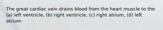 The great cardiac vein drains blood from the heart muscle to the (a) left ventricle, (b) right ventricle, (c) right atrium, (d) left atrium