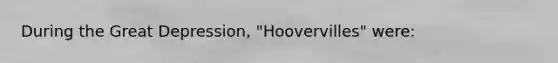 During the Great Depression, "Hoovervilles" were: