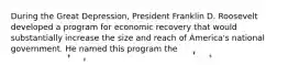 During the Great Depression, President Franklin D. Roosevelt developed a program for economic recovery that would substantially increase the size and reach of America's national government. He named this program the