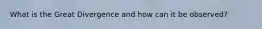 What is the Great Divergence and how can it be observed?