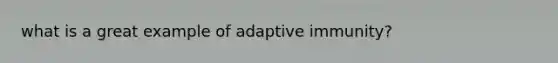 what is a great example of adaptive immunity?