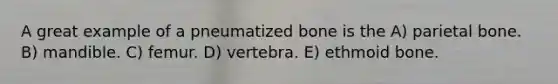 A great example of a pneumatized bone is the A) parietal bone. B) mandible. C) femur. D) vertebra. E) ethmoid bone.