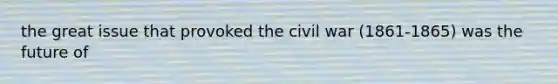 the great issue that provoked the civil war (1861-1865) was the future of