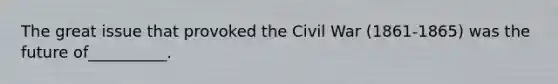 The great issue that provoked the Civil War (1861-1865) was the future of__________.