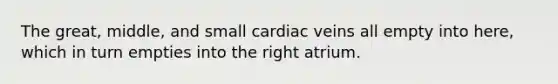 The great, middle, and small cardiac veins all empty into here, which in turn empties into the right atrium.