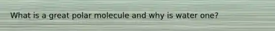 What is a great polar molecule and why is water one?