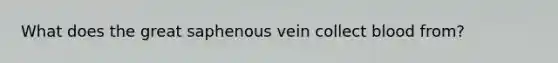 What does the great saphenous vein collect blood from?