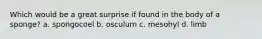 Which would be a great surprise if found in the body of a sponge? a. spongocoel b. osculum c. mesohyl d. limb