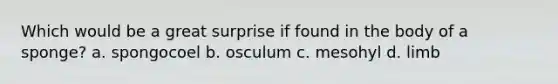 Which would be a great surprise if found in the body of a sponge? a. spongocoel b. osculum c. mesohyl d. limb