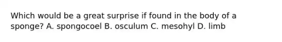 Which would be a great surprise if found in the body of a sponge? A. spongocoel B. osculum C. mesohyl D. limb