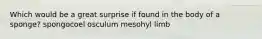 Which would be a great surprise if found in the body of a sponge? spongocoel osculum mesohyl limb