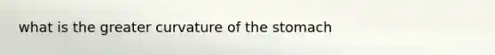 what is the greater curvature of the stomach