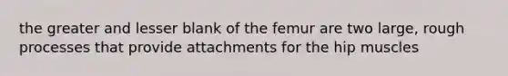 the greater and lesser blank of the femur are two large, rough processes that provide attachments for the hip muscles