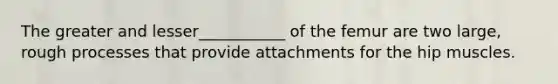 The greater and lesser___________ of the femur are two large, rough processes that provide attachments for the hip muscles.