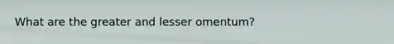 What are the greater and lesser omentum?