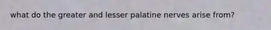 what do the greater and lesser palatine nerves arise from?