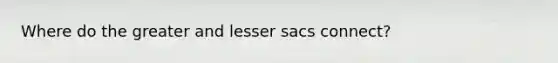 Where do the greater and lesser sacs connect?