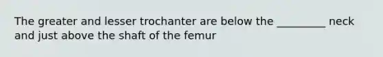 The greater and lesser trochanter are below the _________ neck and just above the shaft of the femur