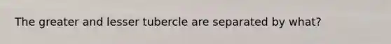 The greater and lesser tubercle are separated by what?