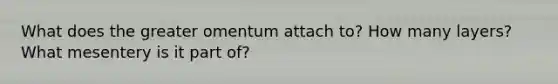 What does the greater omentum attach to? How many layers? What mesentery is it part of?