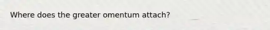 Where does the greater omentum attach?