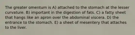 The greater omentum is A) attached to the stomach at the lesser curvature. B) important in the digestion of fats. C) a fatty sheet that hangs like an apron over the abdominal viscera. D) the entrance to the stomach. E) a sheet of mesentery that attaches to the liver.