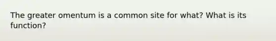 The greater omentum is a common site for what? What is its function?