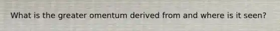 What is the greater omentum derived from and where is it seen?