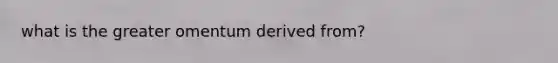 what is the greater omentum derived from?