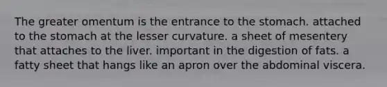 The greater omentum is the entrance to <a href='https://www.questionai.com/knowledge/kLccSGjkt8-the-stomach' class='anchor-knowledge'>the stomach</a>. attached to the stomach at the lesser curvature. a sheet of mesentery that attaches to the liver. important in the digestion of fats. a fatty sheet that hangs like an apron over the abdominal viscera.