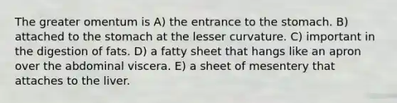 The greater omentum is A) the entrance to the stomach. B) attached to the stomach at the lesser curvature. C) important in the digestion of fats. D) a fatty sheet that hangs like an apron over the abdominal viscera. E) a sheet of mesentery that attaches to the liver.