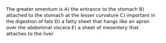 The greater omentum is A) the entrance to <a href='https://www.questionai.com/knowledge/kLccSGjkt8-the-stomach' class='anchor-knowledge'>the stomach</a> B) attached to the stomach at the lesser curvature C) important in the digestion of fats D) a fatty sheet that hangs like an apron over the abdominal viscera E) a sheet of mesentery that attaches to the liver