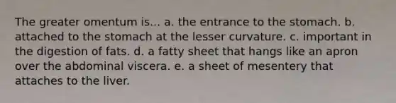 The greater omentum is... a. the entrance to the stomach. b. attached to the stomach at the lesser curvature. c. important in the digestion of fats. d. a fatty sheet that hangs like an apron over the abdominal viscera. e. a sheet of mesentery that attaches to the liver.