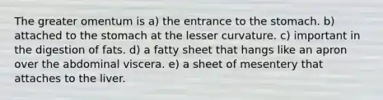 The greater omentum is a) the entrance to the stomach. b) attached to the stomach at the lesser curvature. c) important in the digestion of fats. d) a fatty sheet that hangs like an apron over the abdominal viscera. e) a sheet of mesentery that attaches to the liver.