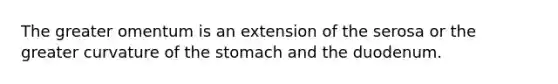 The greater omentum is an extension of the serosa or the greater curvature of the stomach and the duodenum.