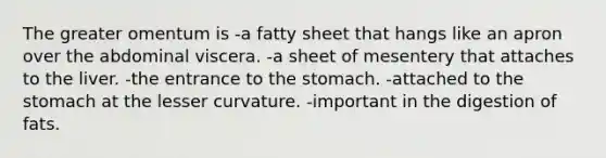 The greater omentum is -a fatty sheet that hangs like an apron over the abdominal viscera. -a sheet of mesentery that attaches to the liver. -the entrance to the stomach. -attached to the stomach at the lesser curvature. -important in the digestion of fats.