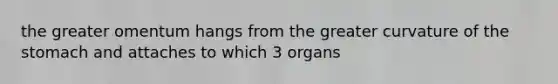 the greater omentum hangs from the greater curvature of <a href='https://www.questionai.com/knowledge/kLccSGjkt8-the-stomach' class='anchor-knowledge'>the stomach</a> and attaches to which 3 organs