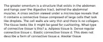 The greater omentum is a structure that exists in the abdomen and hangs over the digestive tract, behind the abdominal muscles. A cross section viewed under a microscope reveals that it contains a connective tissue composed of large cells that look like droplets. The cell walls are very thin and there is no collagen. The tissue looks like it might be good for cushioning. What type of connective tissue is this? a. Adipose tissue b. Dense regular connective tissue c. Elastic connective tissue d. This does not describe a form of connective tissue e. Areolar tissue