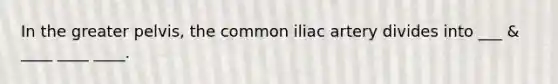 In the greater pelvis, the common iliac artery divides into ___ & ____ ____ ____.