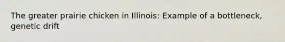 The greater prairie chicken in Illinois: Example of a bottleneck, genetic drift