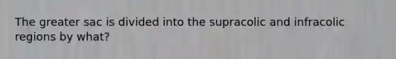 The greater sac is divided into the supracolic and infracolic regions by what?