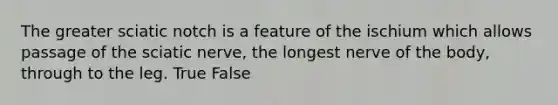 The greater sciatic notch is a feature of the ischium which allows passage of the sciatic nerve, the longest nerve of the body, through to the leg. True False