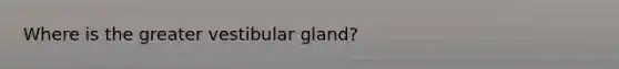 Where is the greater vestibular gland?