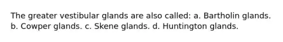 The greater vestibular glands are also called: a. Bartholin glands. b. Cowper glands. c. Skene glands. d. Huntington glands.