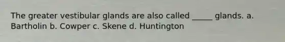 The greater vestibular glands are also called _____ glands. a. Bartholin b. Cowper c. Skene d. Huntington