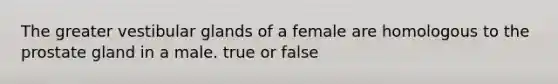 The greater vestibular glands of a female are homologous to the prostate gland in a male. true or false